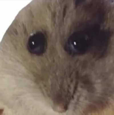 Nothing special here, move along