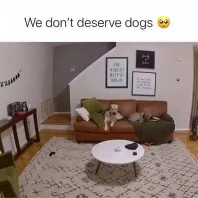 Helping with the chores