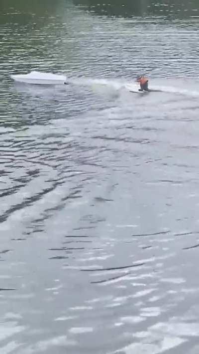 Super squirrel to the rescue