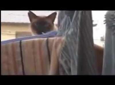 A valiant attempt, too bad his numbers were a bit off