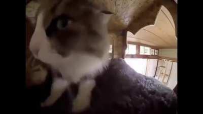 no puedo parar de verlo