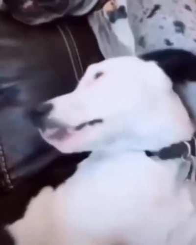 This is what the internet is invented for.