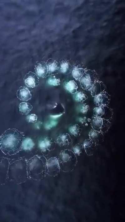 Wish I could experience this