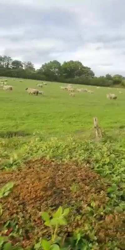 Eid Mubarak err'baddy 😂