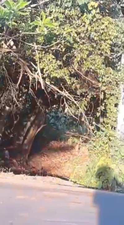 quero o meu nu vídeo '-'