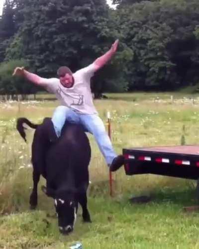 Cheeto de fiesta? Cheeto?