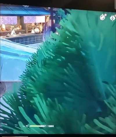 My Raiden became a beyblade