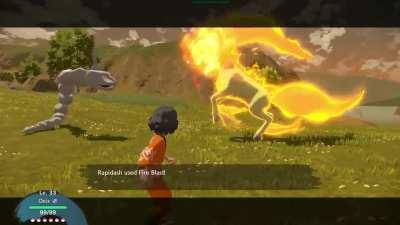 No, I did not survive.