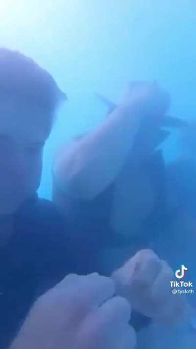 poker subacuatico con los panas 😎