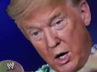 Biden coming back from the dead.