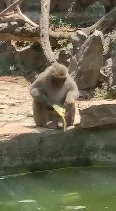 Bro literally took a moment to let that sink in. ><‘ (I’ll see myself out.)