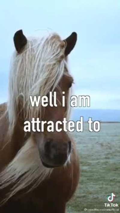 Never be afraid of the horse you really are