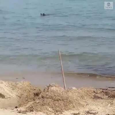 Entspann dich ein wenig am Strand haben sie gesagt...