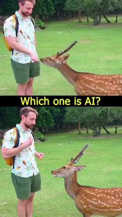 Can YOU tell which video is AI?