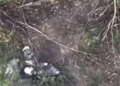 Ukrainian drone drops grenade on large group of Russian soldiers near Bakhmut