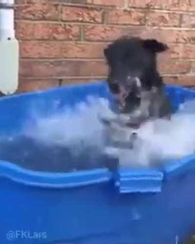 I love this netflix adaptation