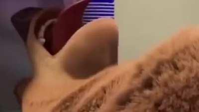 I'm 15 and this is yeet