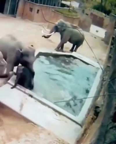 The difference in the upbringing of mom and dad.