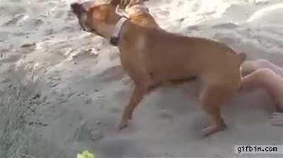 Let it lie where it wants