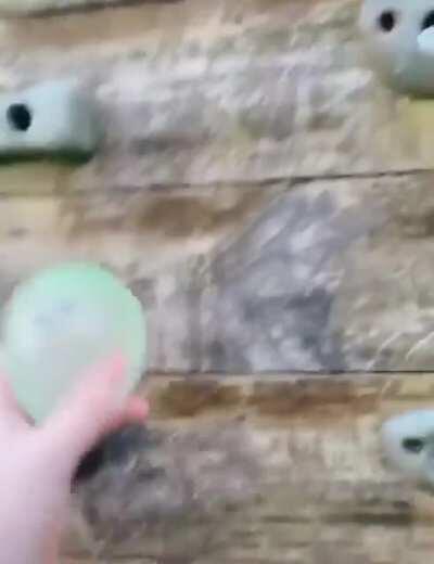 Timothy... TIMMOTHY!!! (Fixed cut)