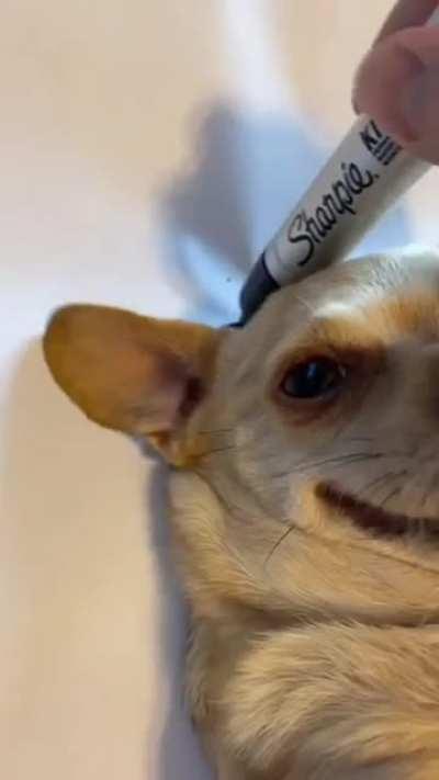 He understood the assignment