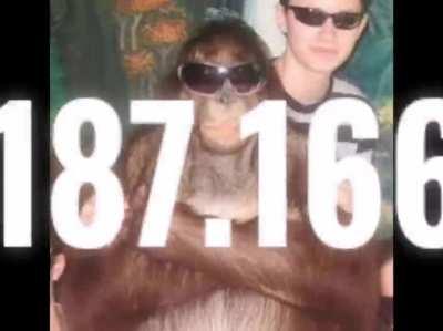 Lo siento arounou men 😔👌