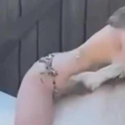 Anya Taylor-Joy getting comfortable