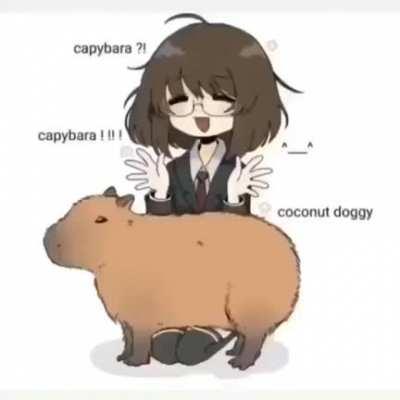 Capybara