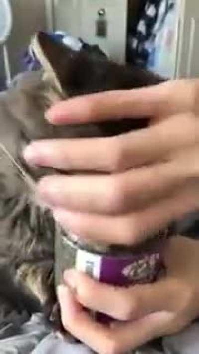 How I felt buying dips last few weeks… I just can’t resist..