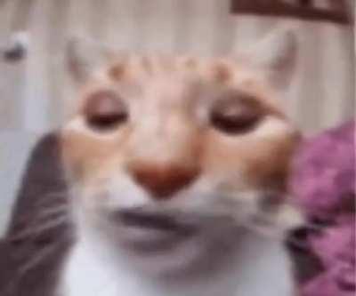 flirting vs sexual harassment