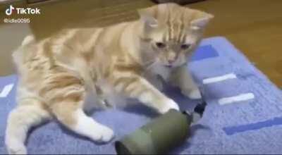 Grenade Kitty
