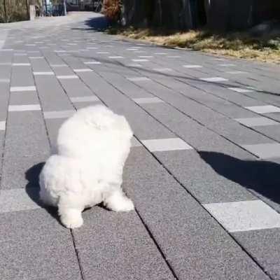 Чёт ветрено...