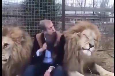 Лев не прав