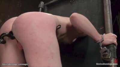 How to become a wall pig