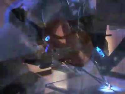 Performed a surgery on the grape to show the precision of the procedure