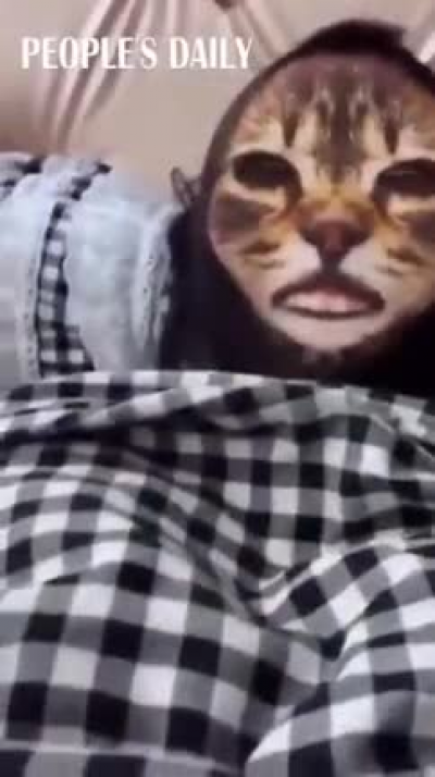 Cats seem to understand mirrors after all