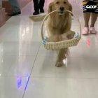 The proudest mother you ever did see