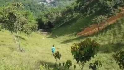 The wheel of misfortune