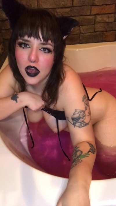 wanna take a bath with this kitty? 💖