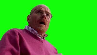 [GREEN SCREEN] That one scene with Walt in Season 2 Episode 13