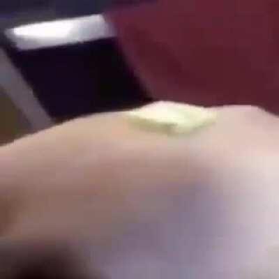 butter dog, the dog with a butter, butter dog, dog with a butter on him, the dog with a butter dog