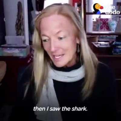 Humpback whale saves marine biologist, Nan Huaser, from a shark