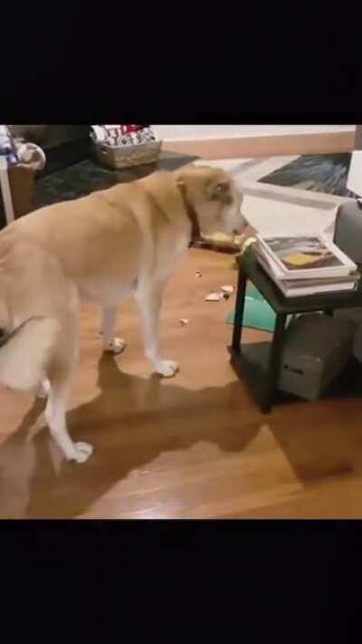 someone will be punished