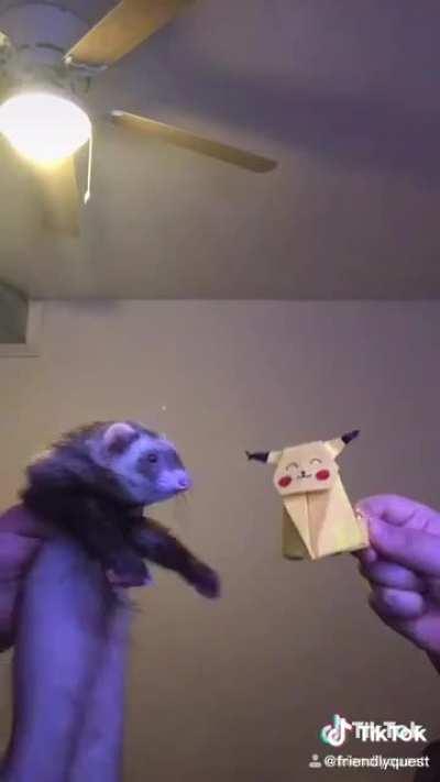 Um vídeo para alegrar seu dia (◍•ᴗ•◍)❤