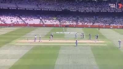 Spider cam hitting Profesional cricketer .