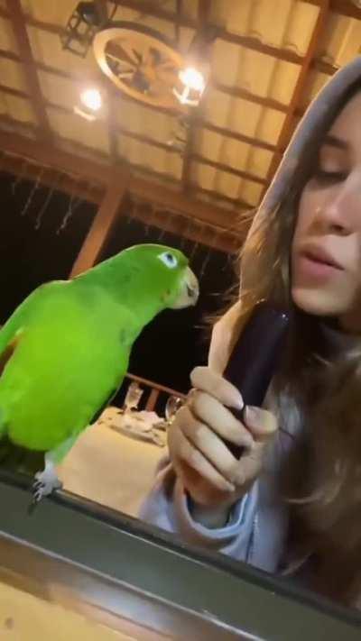 Entrevista exclusiva com o nosso amado L_CRF