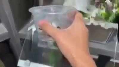 de um segundo pro outro