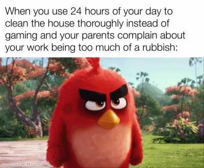 You did the whole house, but still too little! What did we do to deserve this disrespectful attitude?!