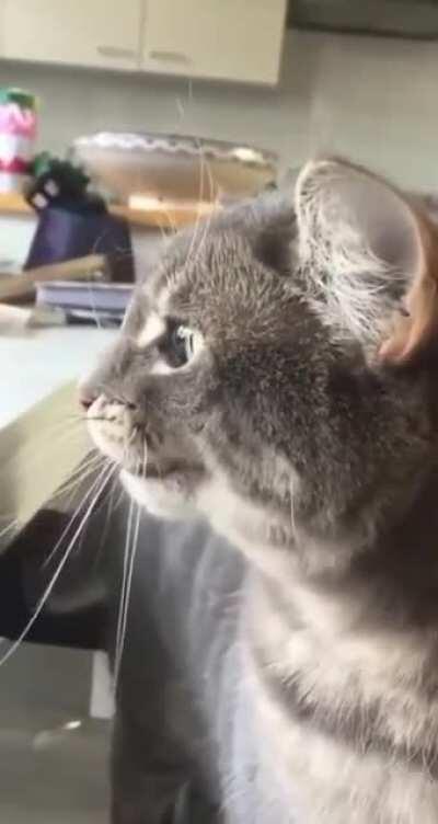 Чёт важное говорит...