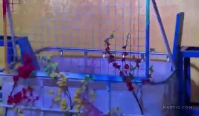 Al final ya no le gusto tanto